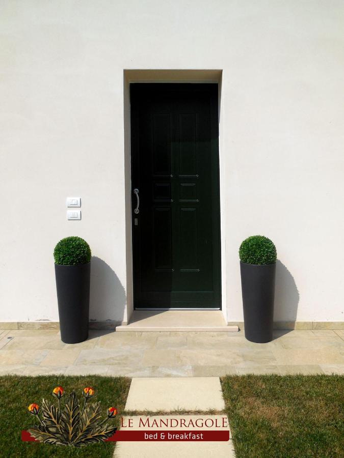 Le Mandragole B&B Roncade Kültér fotó