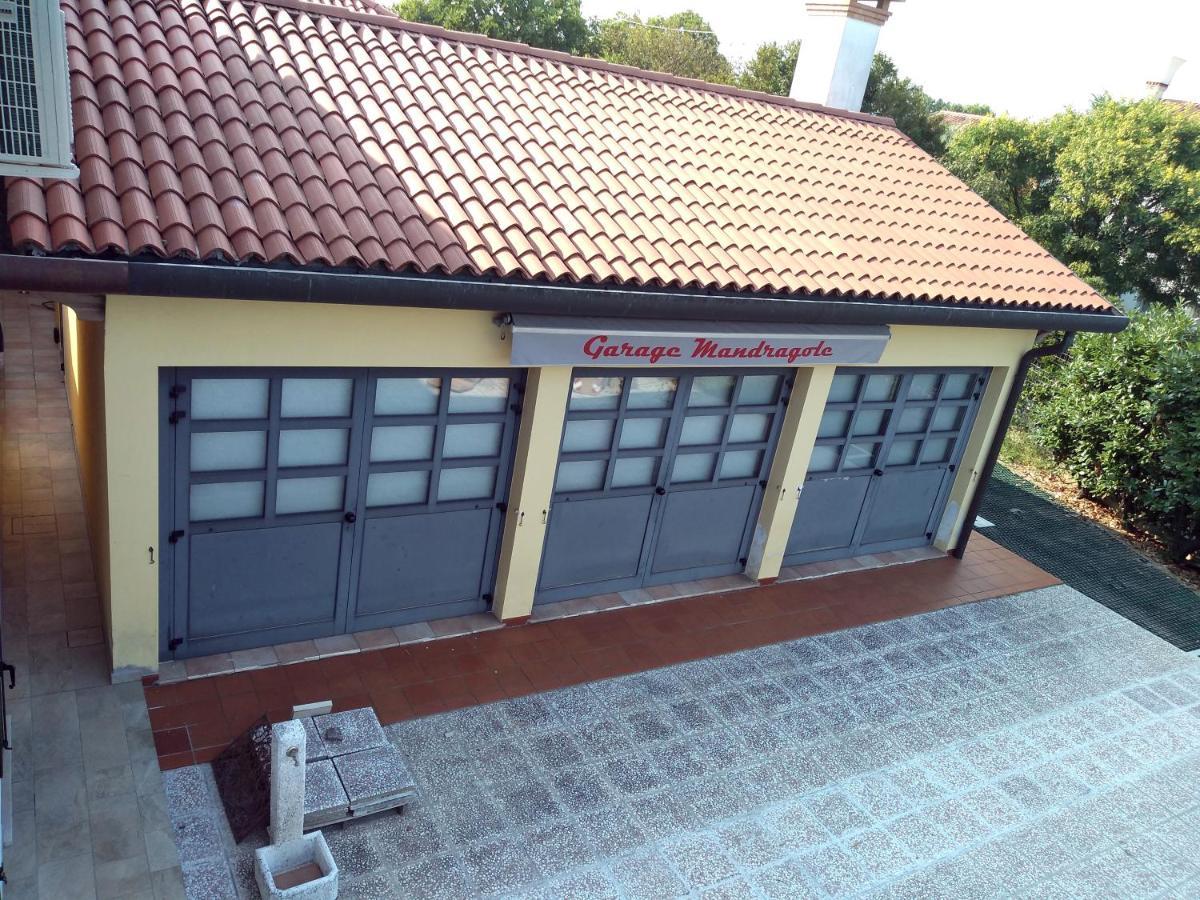 Le Mandragole B&B Roncade Kültér fotó