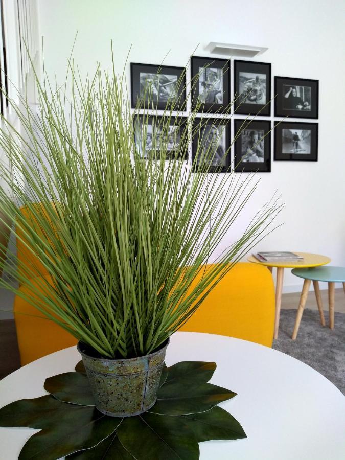 Le Mandragole B&B Roncade Kültér fotó